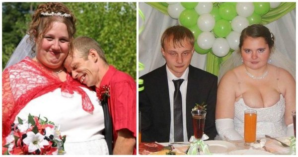 толстый жених