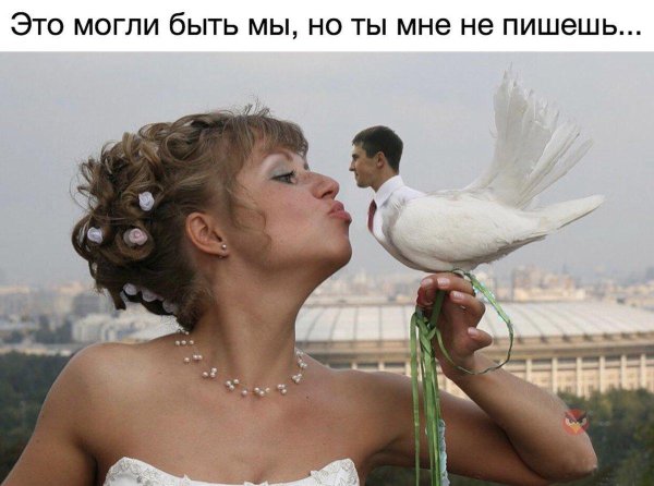 свадебная фотосессия