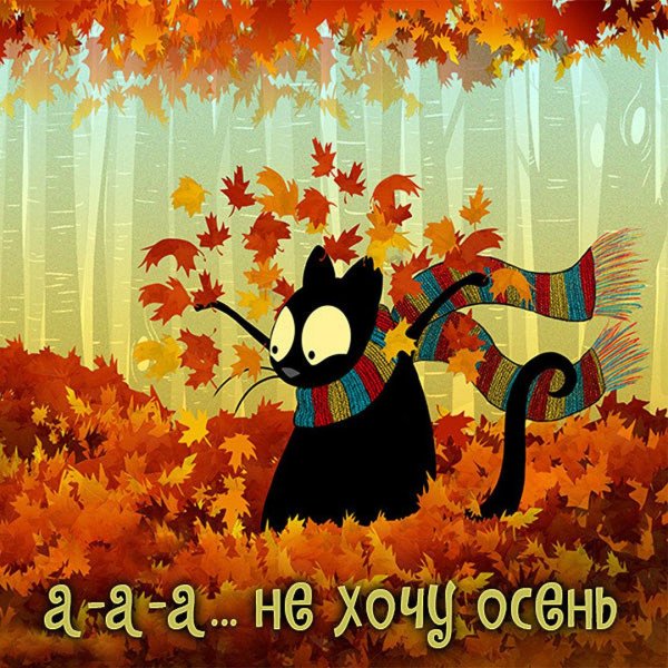 чудеса осени