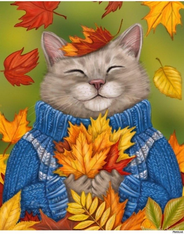 рисованные коты