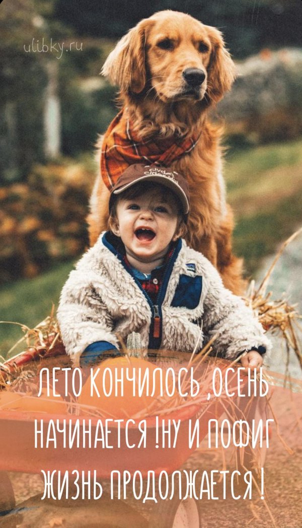 Осень прикольные смешные