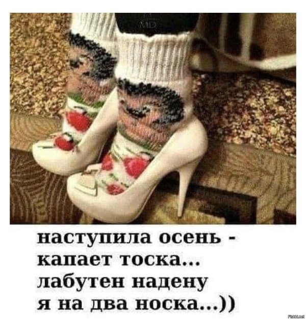 шерстяной носок