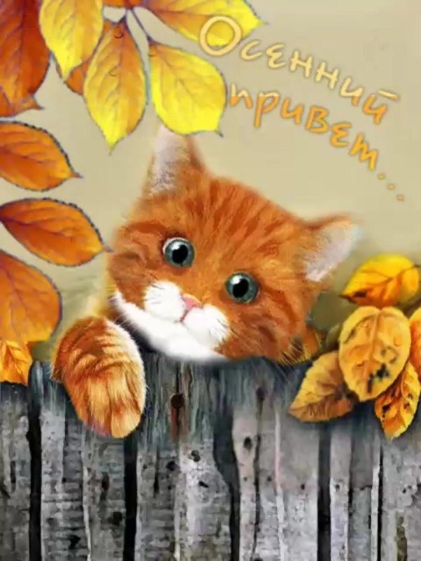 открытка осенняя