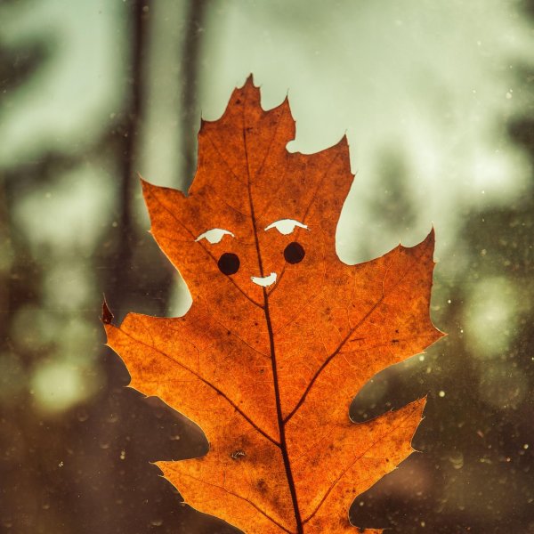 лист осени