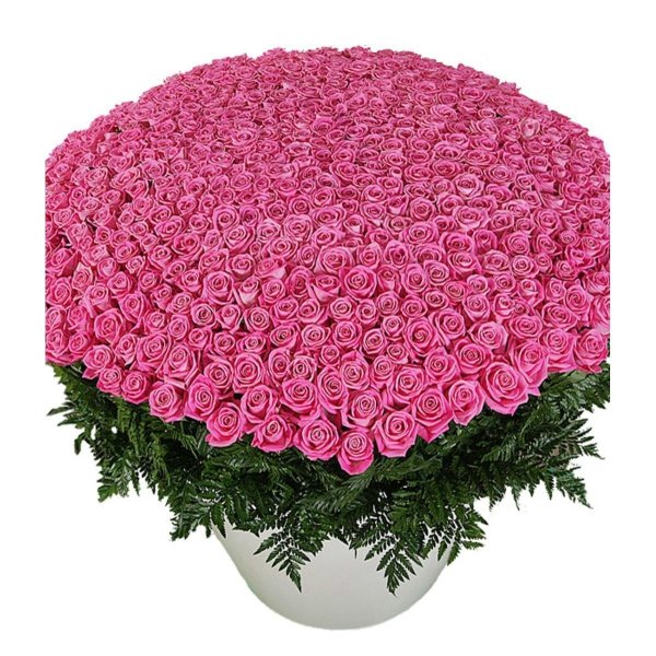 красивый большой букет