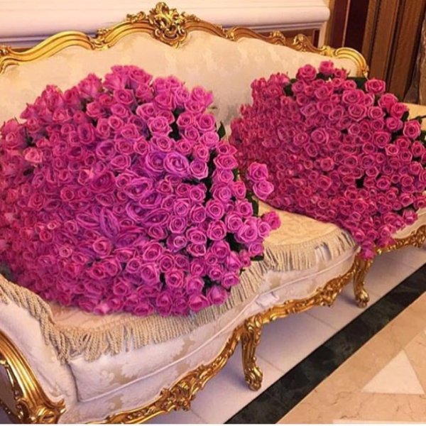 роскошные цветы