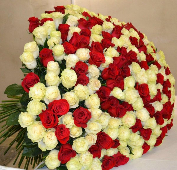 букет шикарный