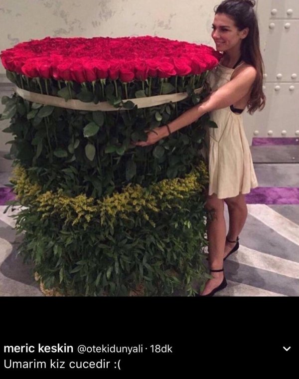 метровая роза