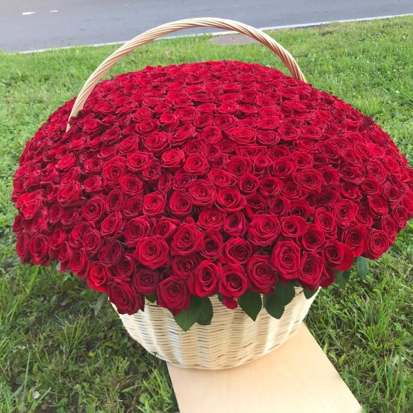 корзина с красными розами
