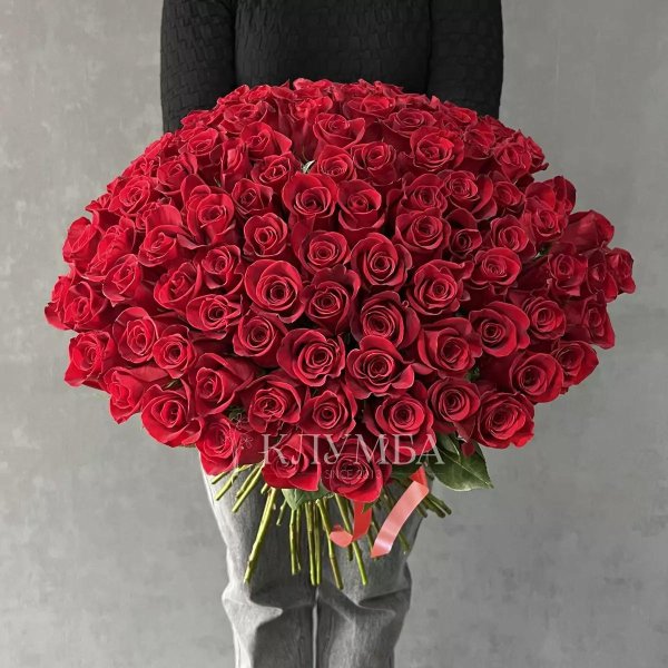 101 красная роза
