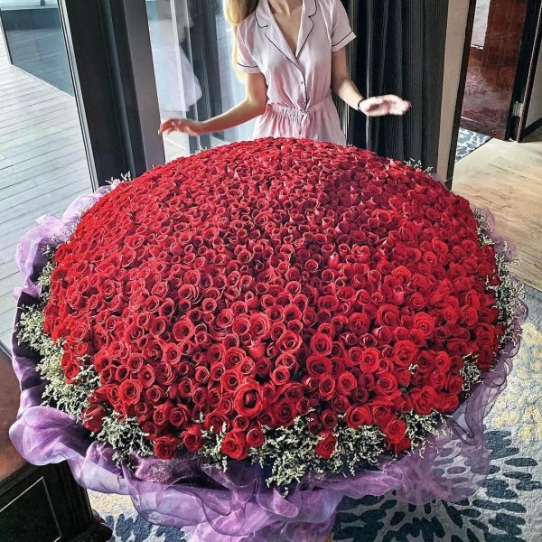 101 красная голландская роза