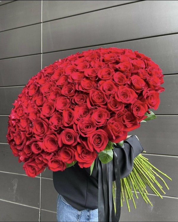 101 красная роза