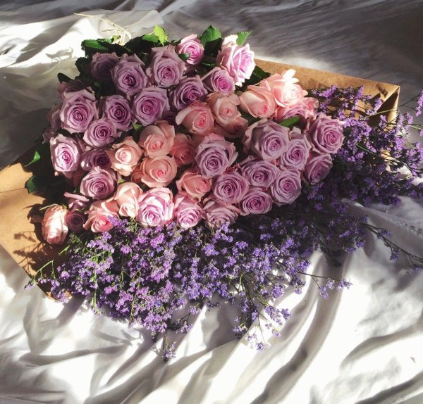 розы с лавандой