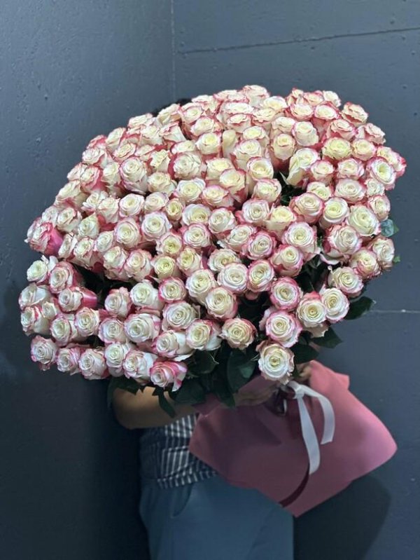 пинк мондиаль роза