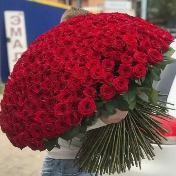 201 роза 70см ред наоми