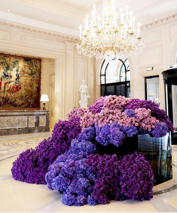 флористика отелей