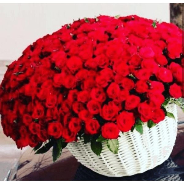 корзина из 51 розы ред вайт