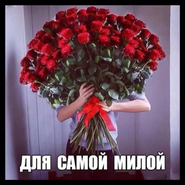 метровая роза