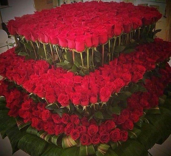 цветы огромный букет