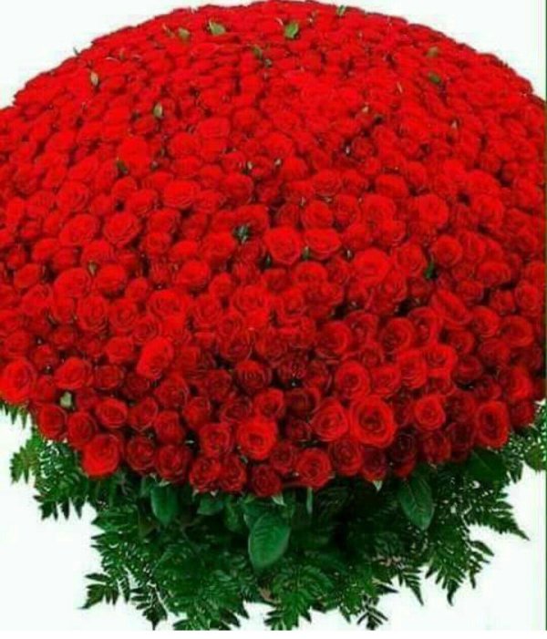 шикарные букеты