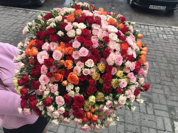 роза кустовая микс25шт