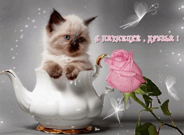 добрый день необычные красивые