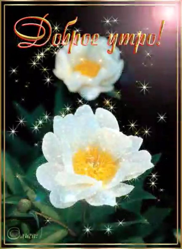 гифы с добрым утром красивые