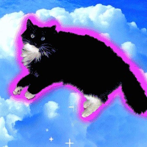 кошка в облаках