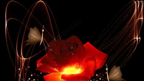 анимированная гифка