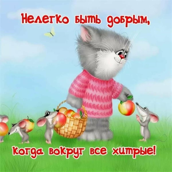 котики алексея долотова