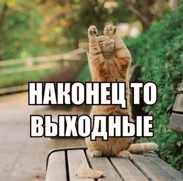 крутых выходных