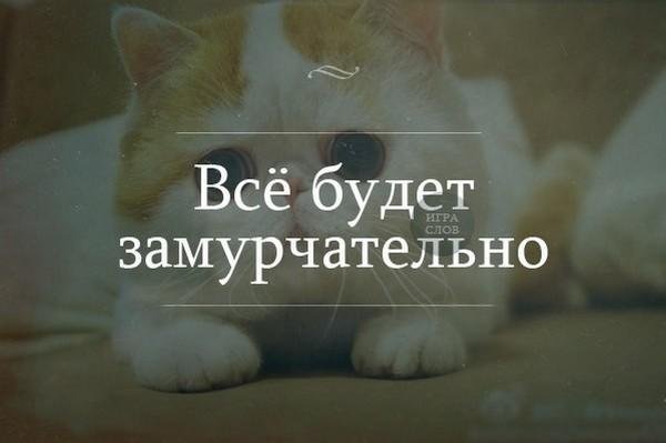 милые котенок