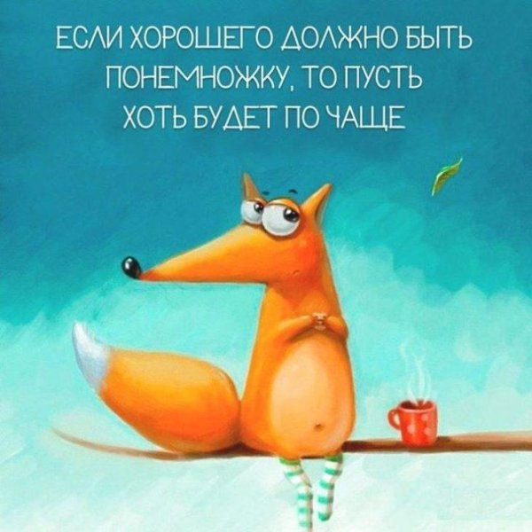 веселые цитаты