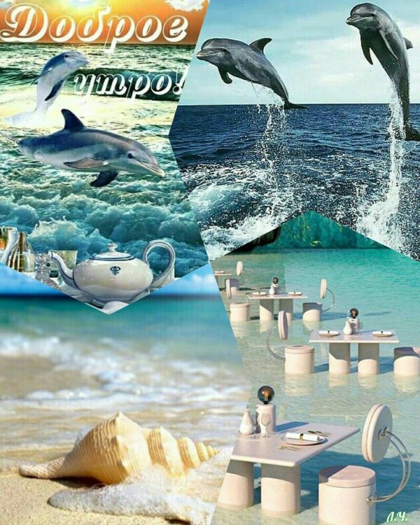 Хорошего дня с морем