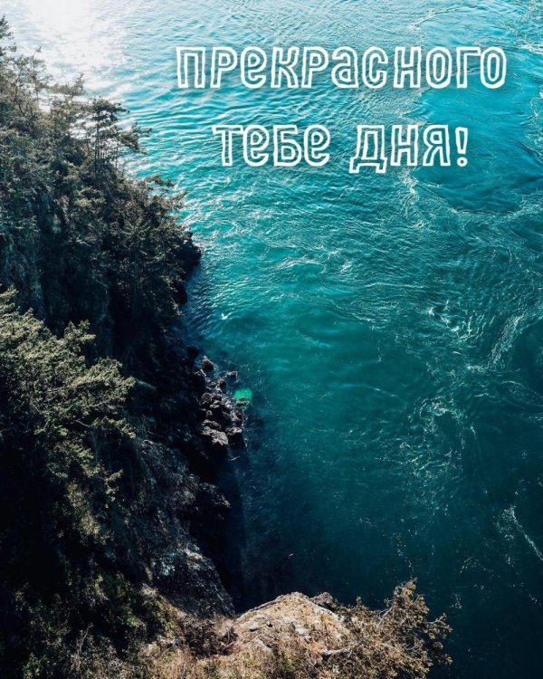 день добрый