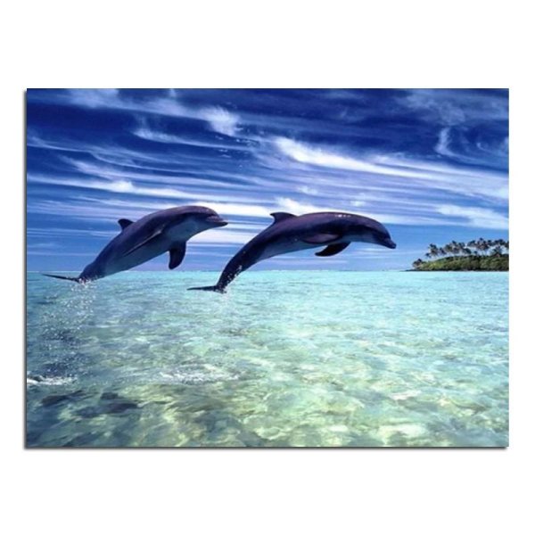 черноморская афалина стая