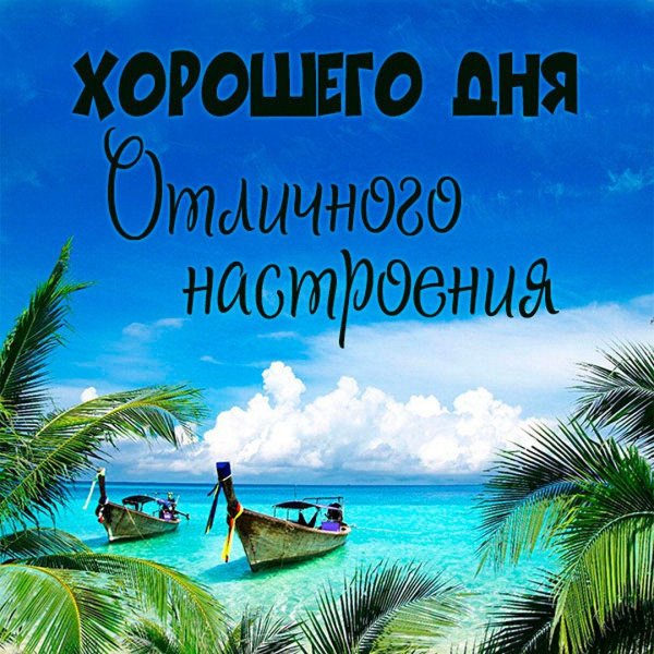 парадиз остров карибского моря