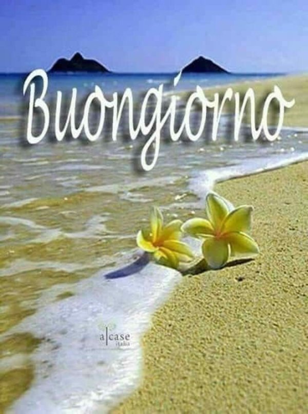 buona giornata