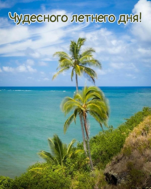 прекрасного лета