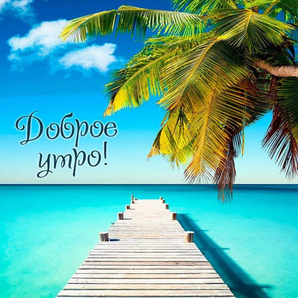 тропики пляж