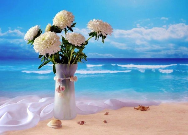 океан красивый