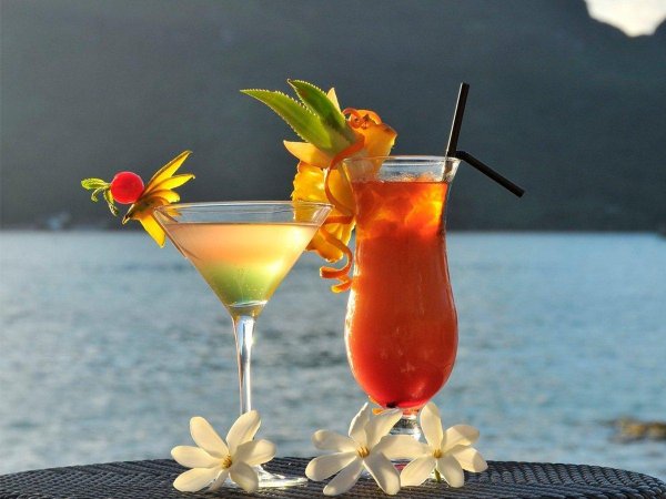 прекрасного отдыха