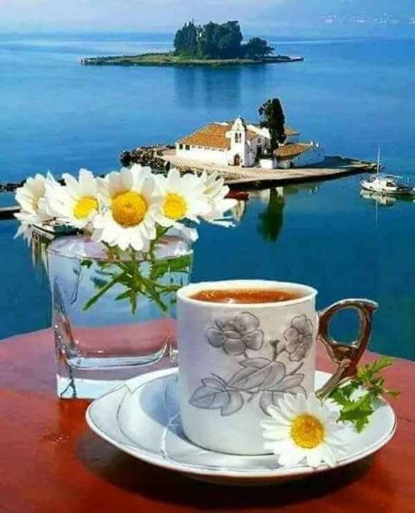 кофе море цветы