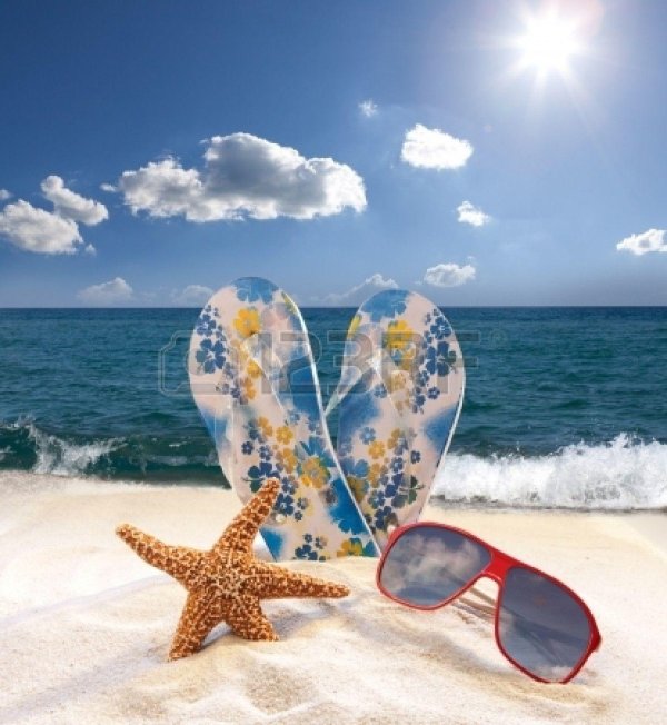 морская звезда