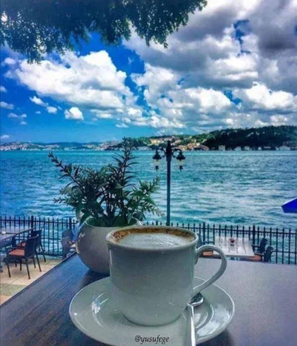 стамбул чай босфор