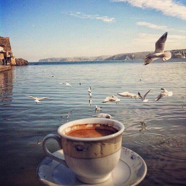 стамбул чай босфор