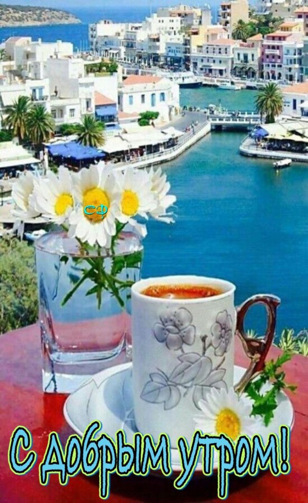 Хорошего дня у моря