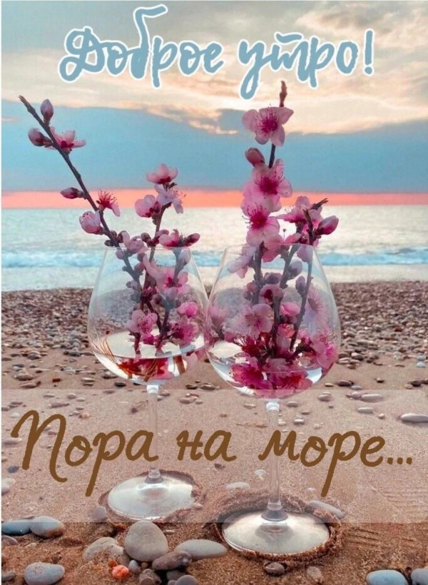 утро в отпуске