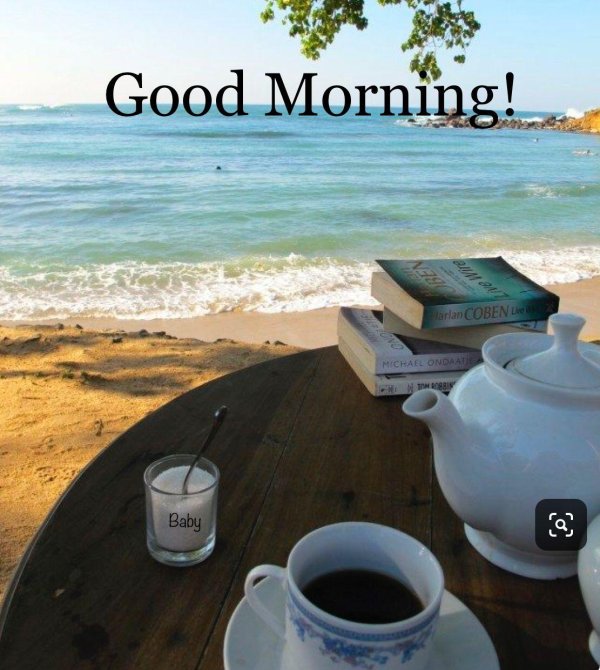 good morning good morning