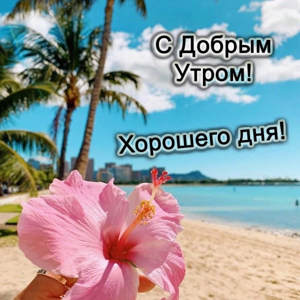 доброе утро хорошего дня красивые